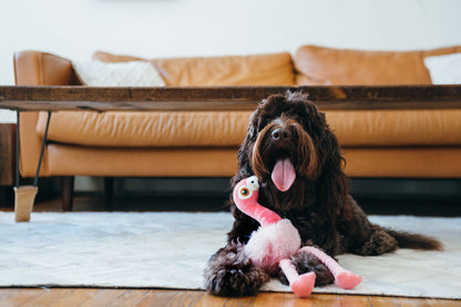 Fetching Flock - Flora the Flamingo