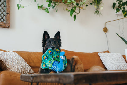 Fetching Flock - Percy the Peacock