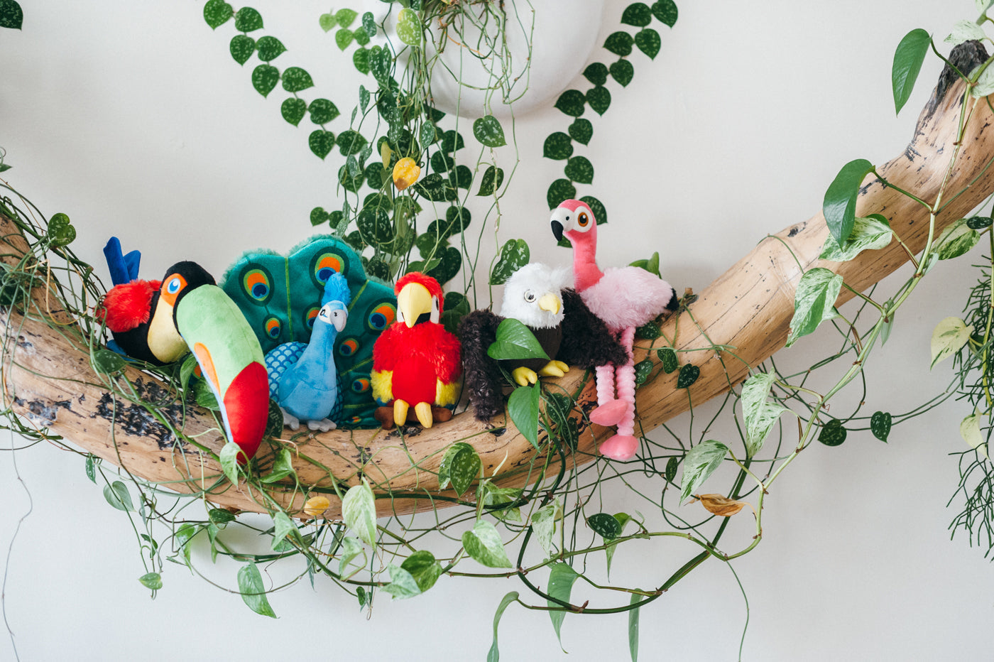 Fetching Flock - Paula the Parrot