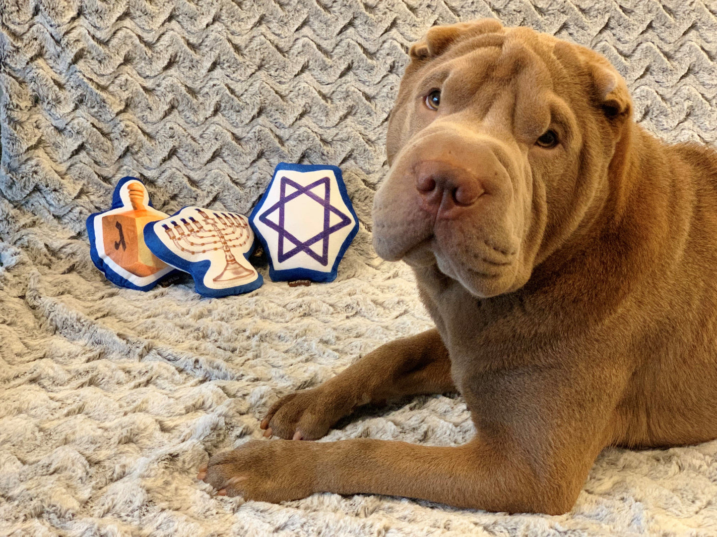 Hanukkah Plush Toy