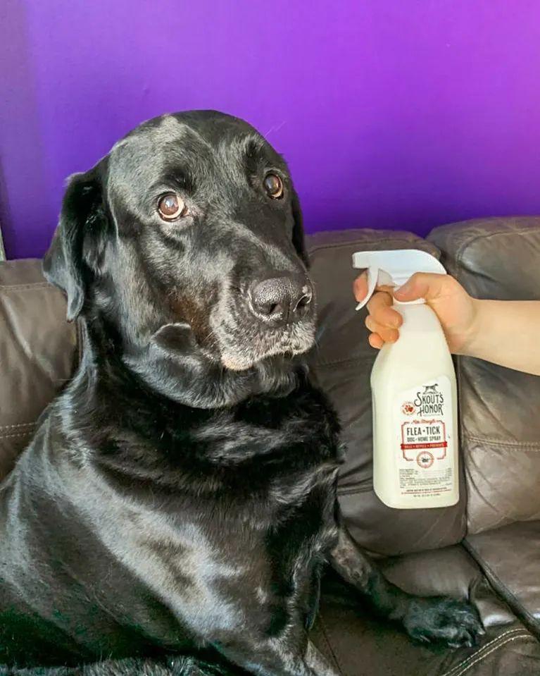 Skout's Honor Flea+Tick Dog & Home Spray 28oz
