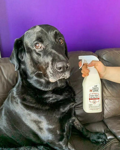 Skout's Honor Flea+Tick Dog & Home Spray 28oz