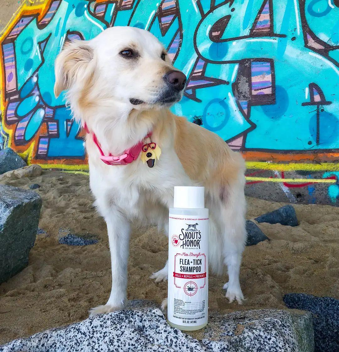 Skout's Honor FLEA+TICK SHAMPOO (16oz)