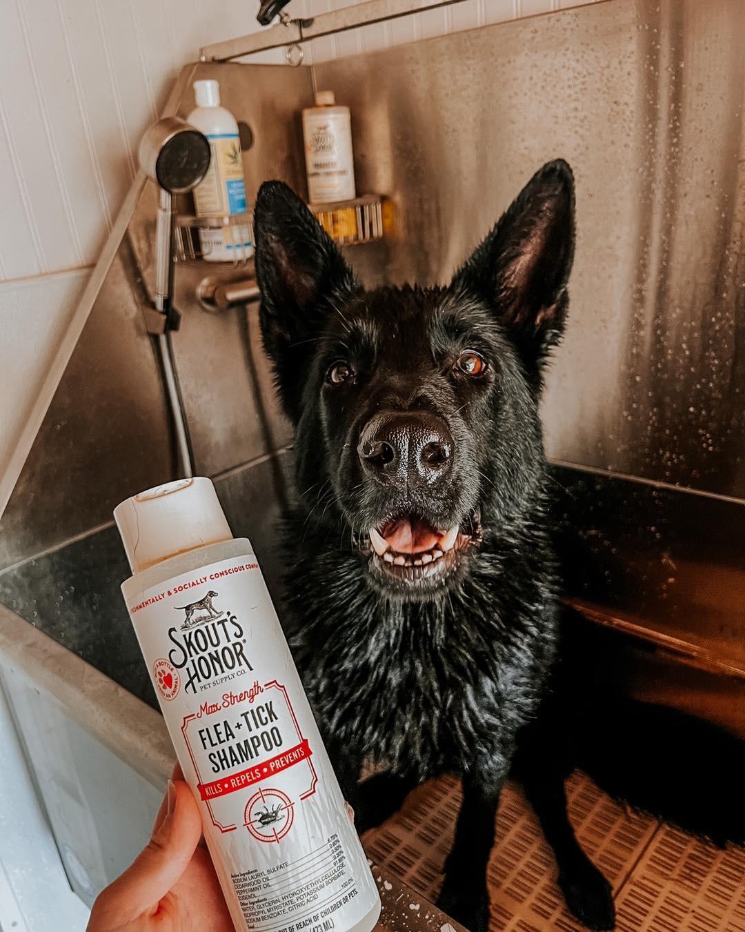 Skout's Honor FLEA+TICK SHAMPOO (16oz)