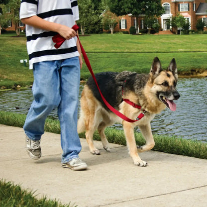 Easy Walk No Pull Dog Harness