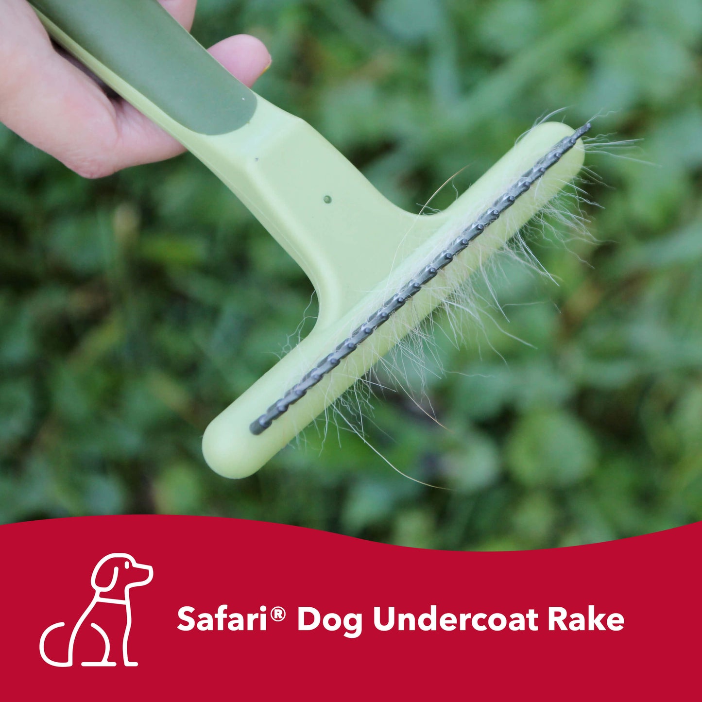 Safari Dog Single or Double Row Undercoat Rake