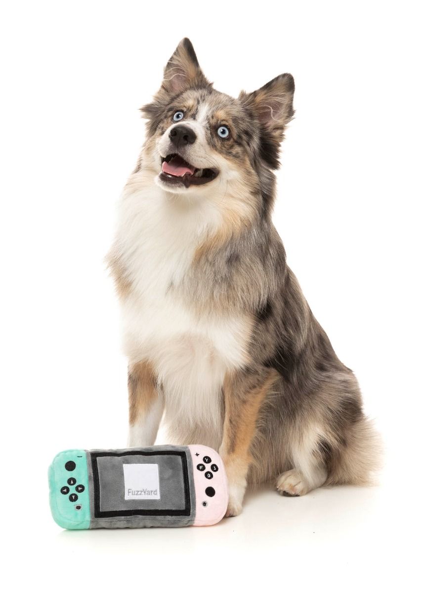 Dogtendo Sniff Dog Toy