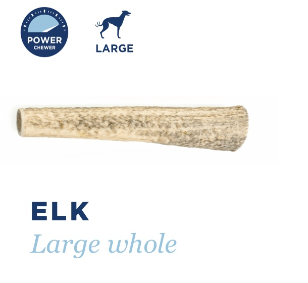 Barkworthies Elk Antler Whole L
