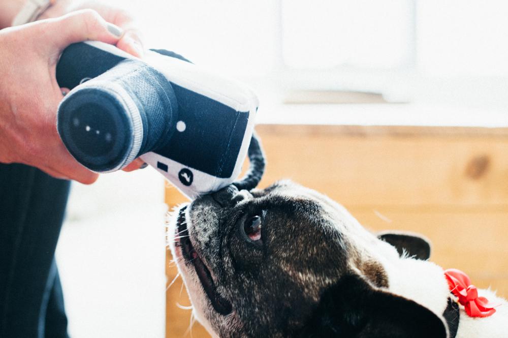 Fun Travel - Lens Licker Camera Toy