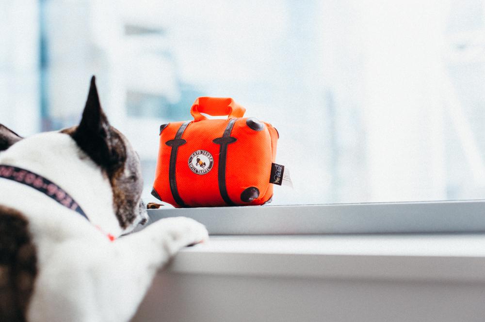 Fun Travel - Pack and Snack Suitcase Toy