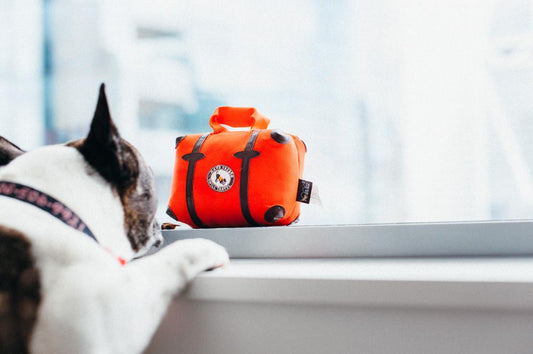 Fun Travel - Pack and Snack Suitcase Toy