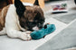 Fun Travel - Pucci's Sandal Toy