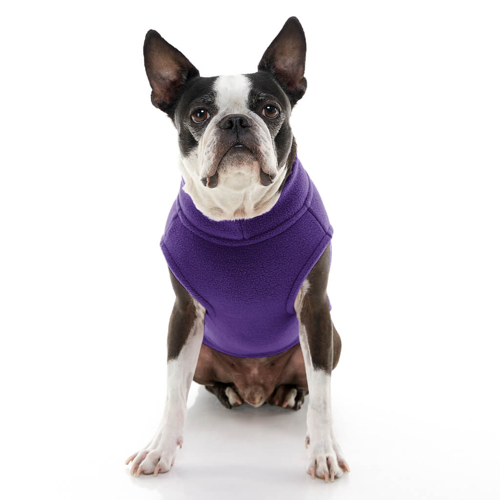 Stretch Fleece - Violet