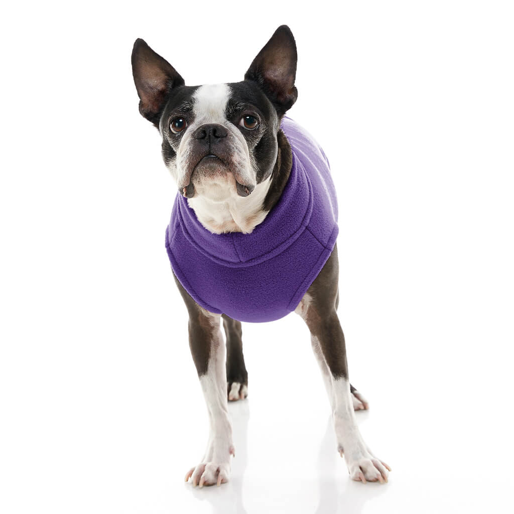 Stretch Fleece - Violet