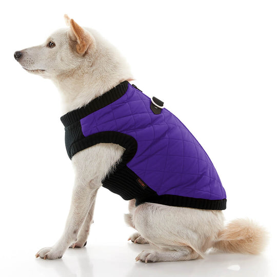 Fashion Vest - Purple