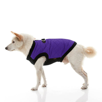 Fashion Vest - Purple