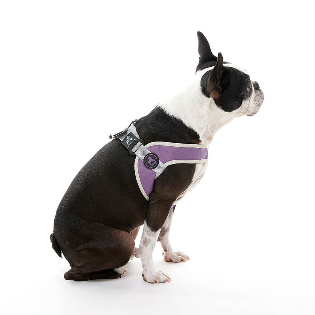 Simple Step In Harness Petshion Boutique