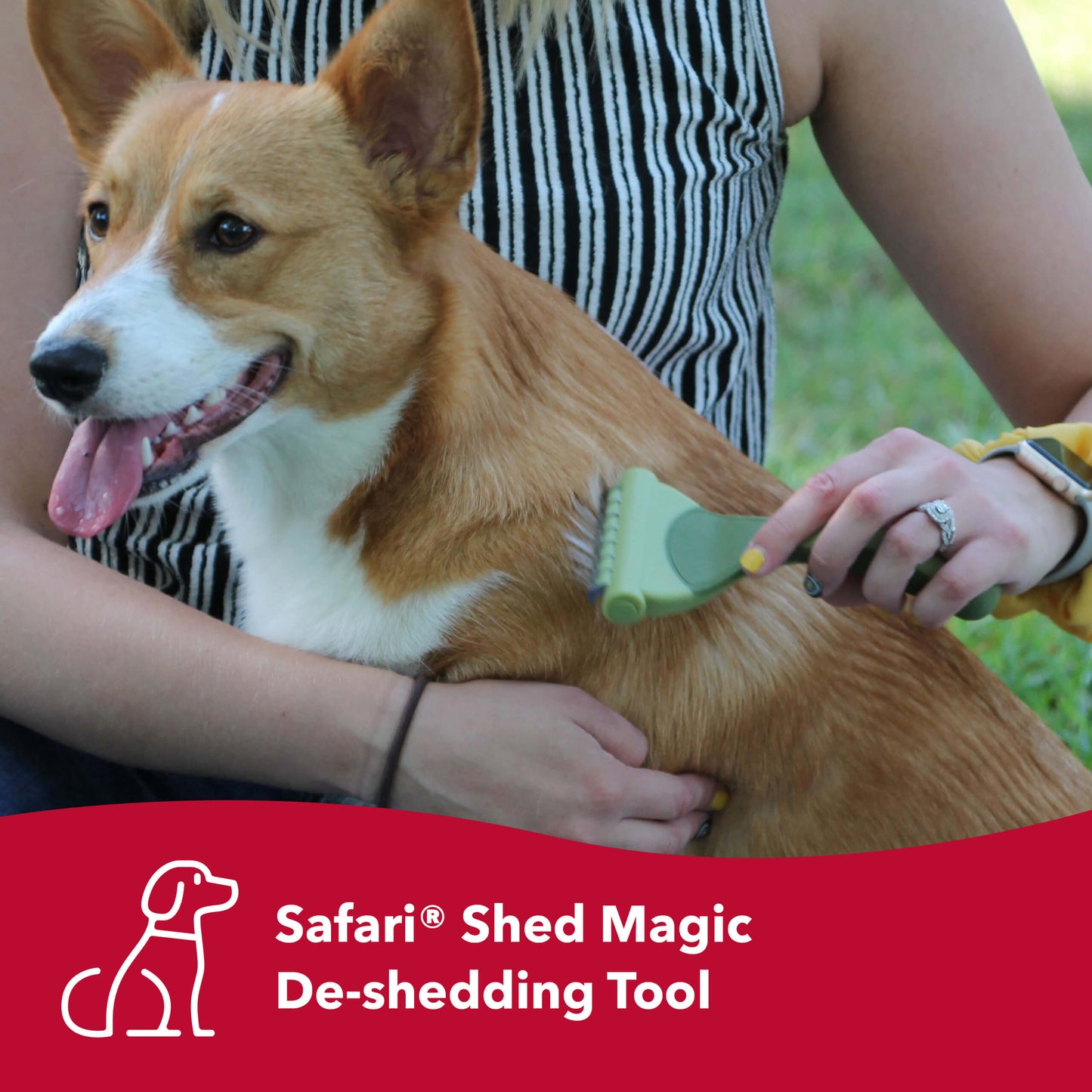 Safari Shed Magic De-Shedding Tool for Dogs with Medium to Long Hair