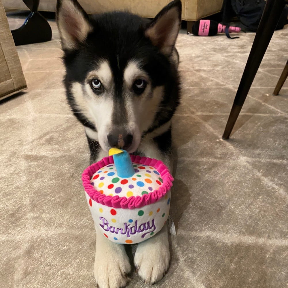 Happy Barkday Cake