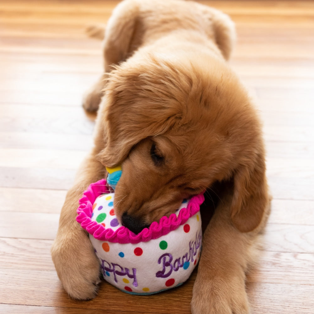 Happy Barkday Cake