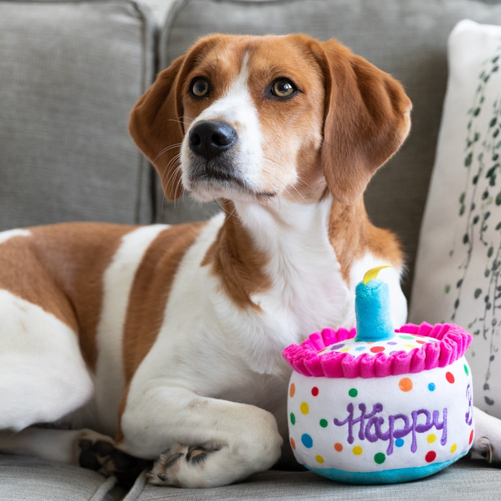 Happy Barkday Cake