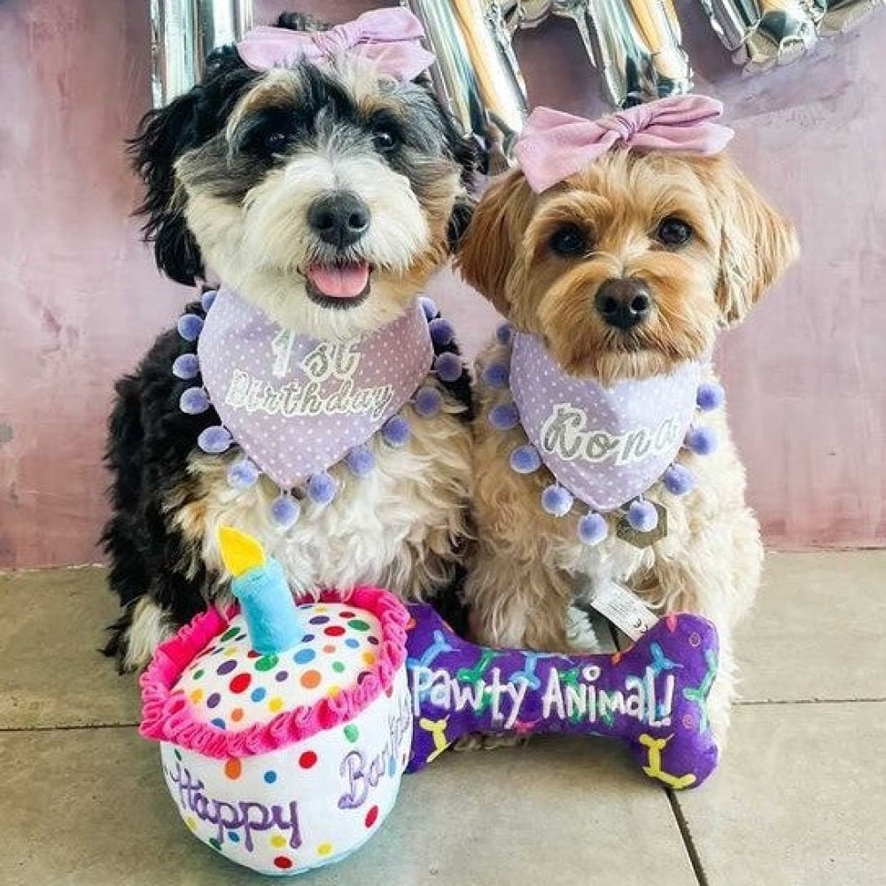 Happy Barkday Cake