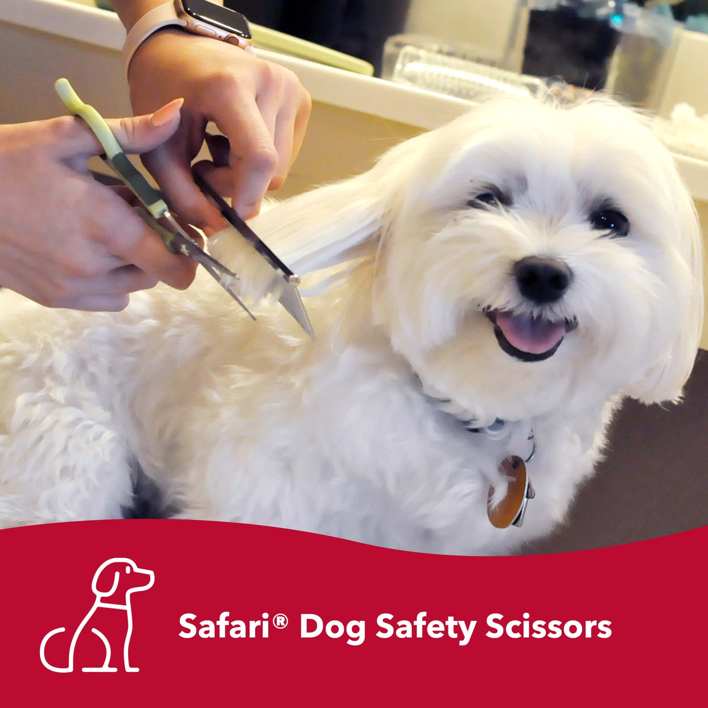 Safari Dog Safety Scissors