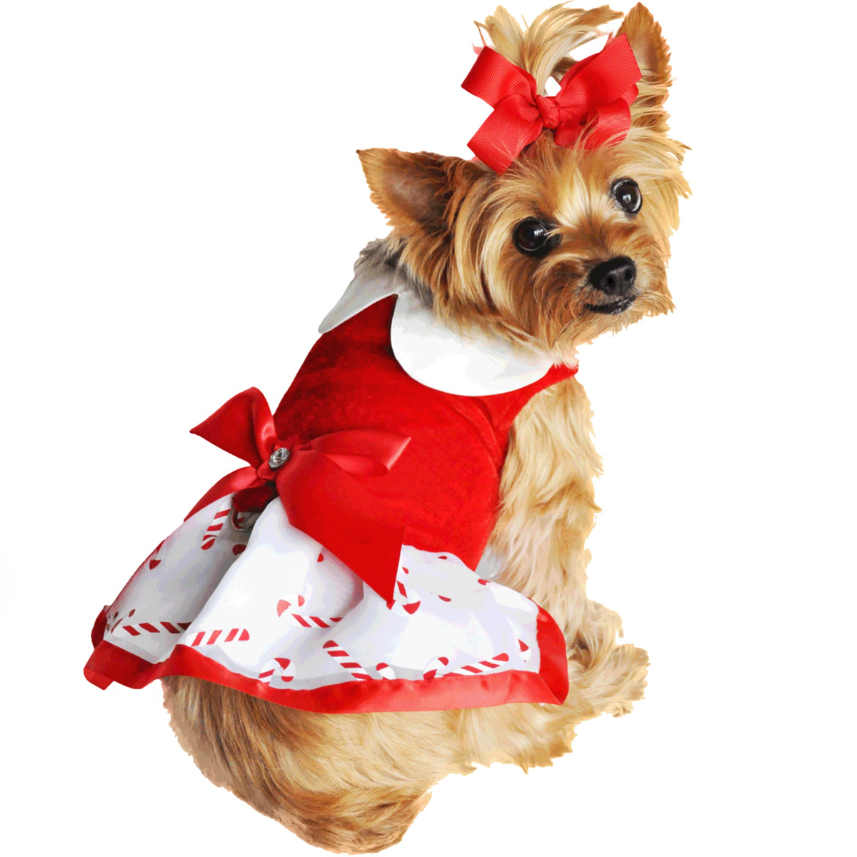 Holiday Dog Harness Dress - Candy Canes Petshion Boutique Holiday Dog Harness Dress - Candy Canes Petshion Boutique