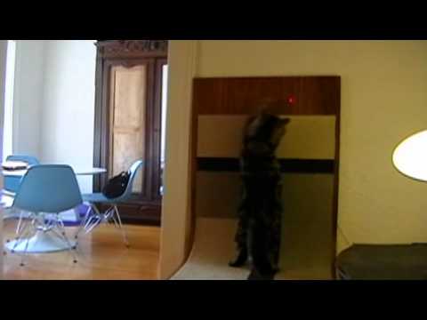 Bolt Automatic Laser Light Cat Toy