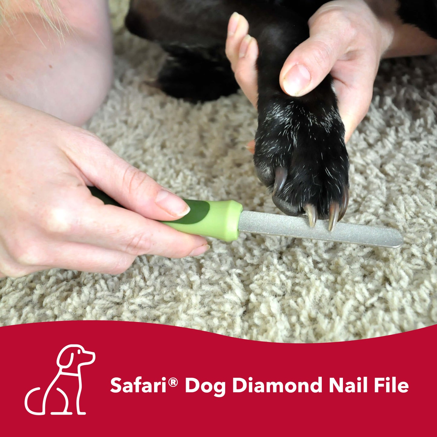 Safari Dog Diamond Nail File