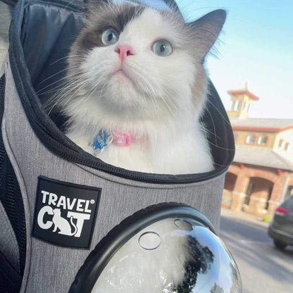 Bubble Pet Carrier / Mini Cat Backpack