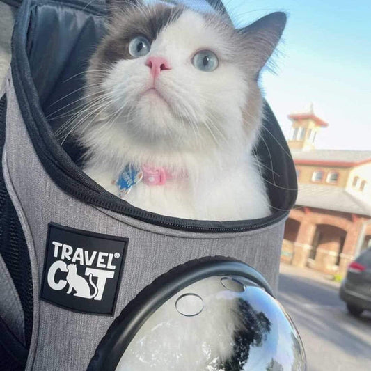 "The Fat Cat" Mini Cat Backpack - Bubble Pet Carrier