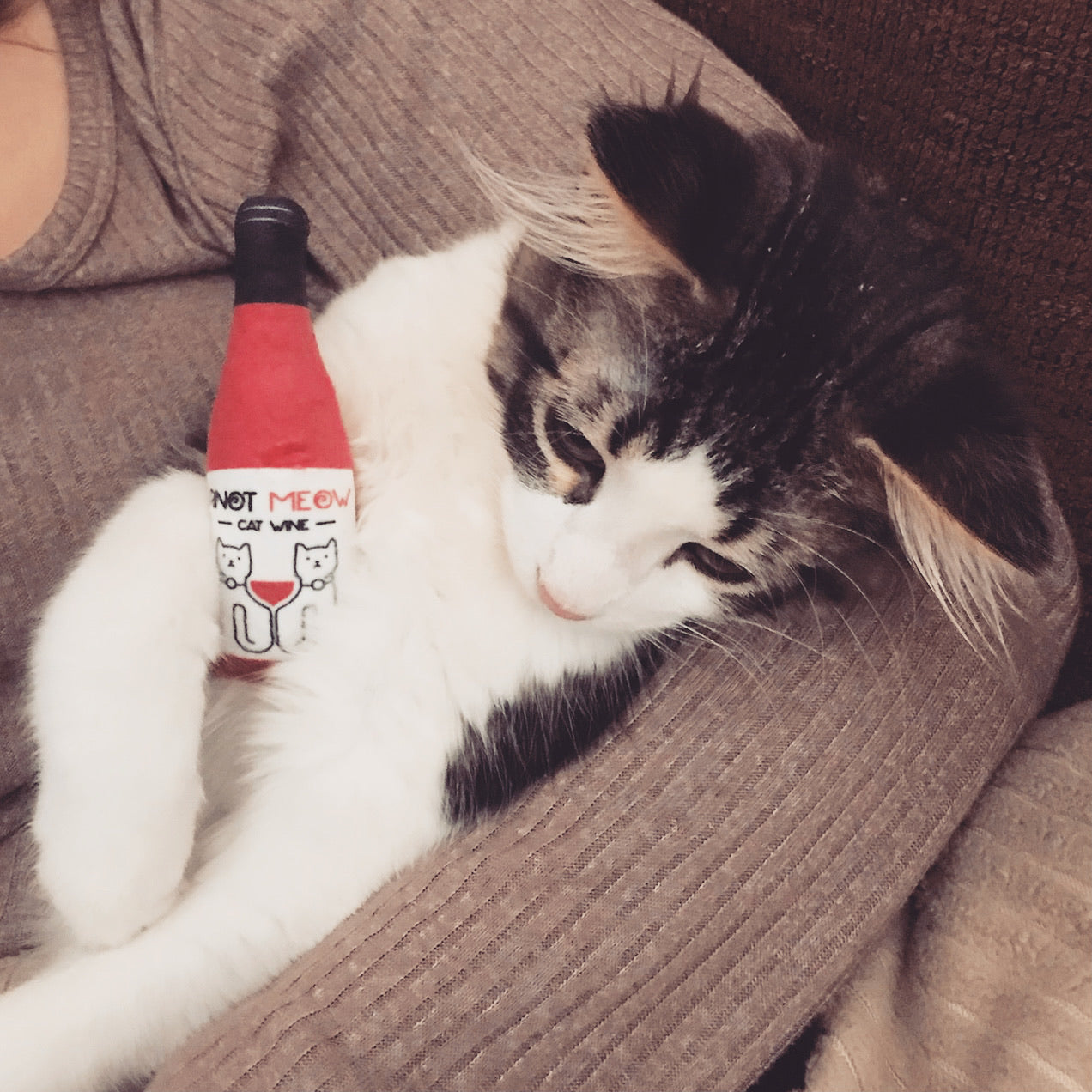 Cat Wine Catnip Plush Cat Toy 2pk