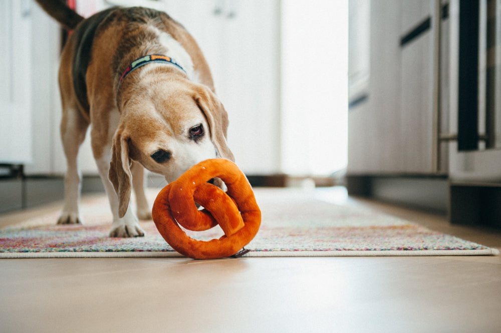International Classic Pretzel Toy