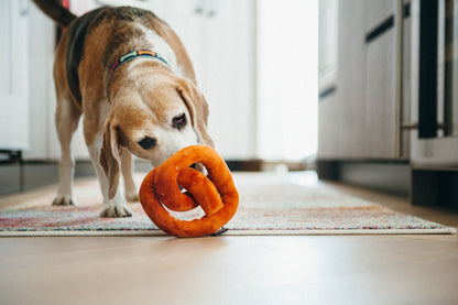 International Classic Pretzel Toy