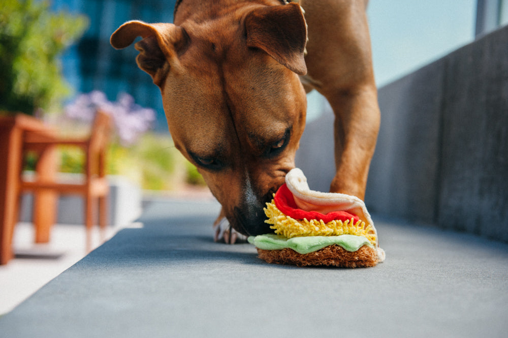 International Classic Taco Toy
