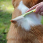 Safari Dog Double Row of Teeth Flea Comb