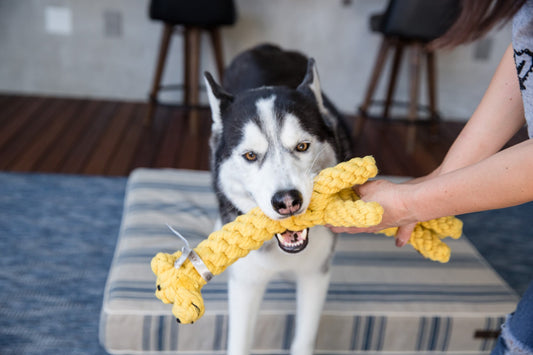 Jerry The Giraffe Rope Dog Toy