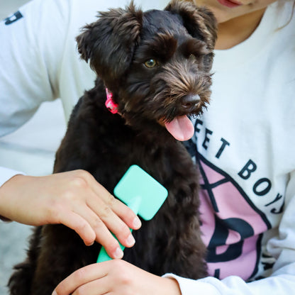 Li'l Pals Dog Slicker Brush with Coated Tips