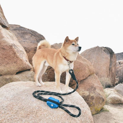 Adventure Leash Bag