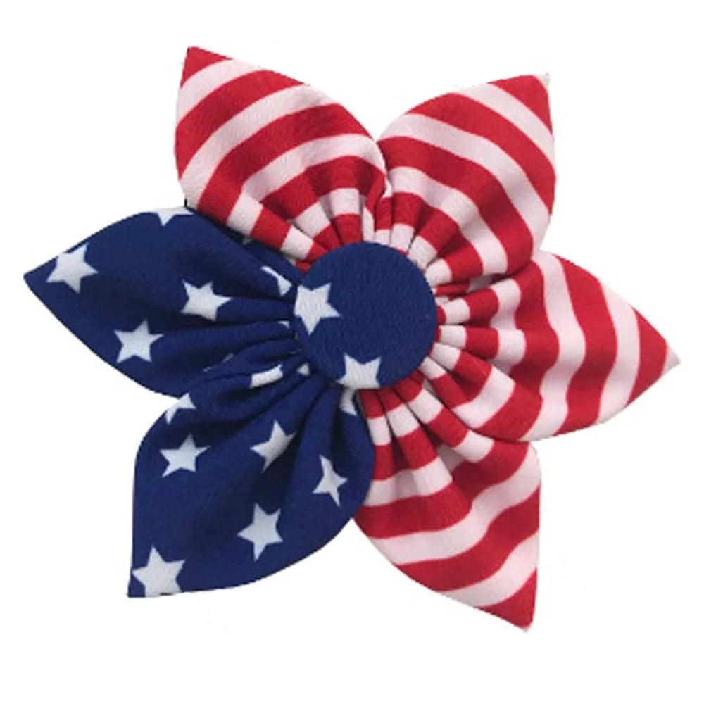 Liberty Pinwheel