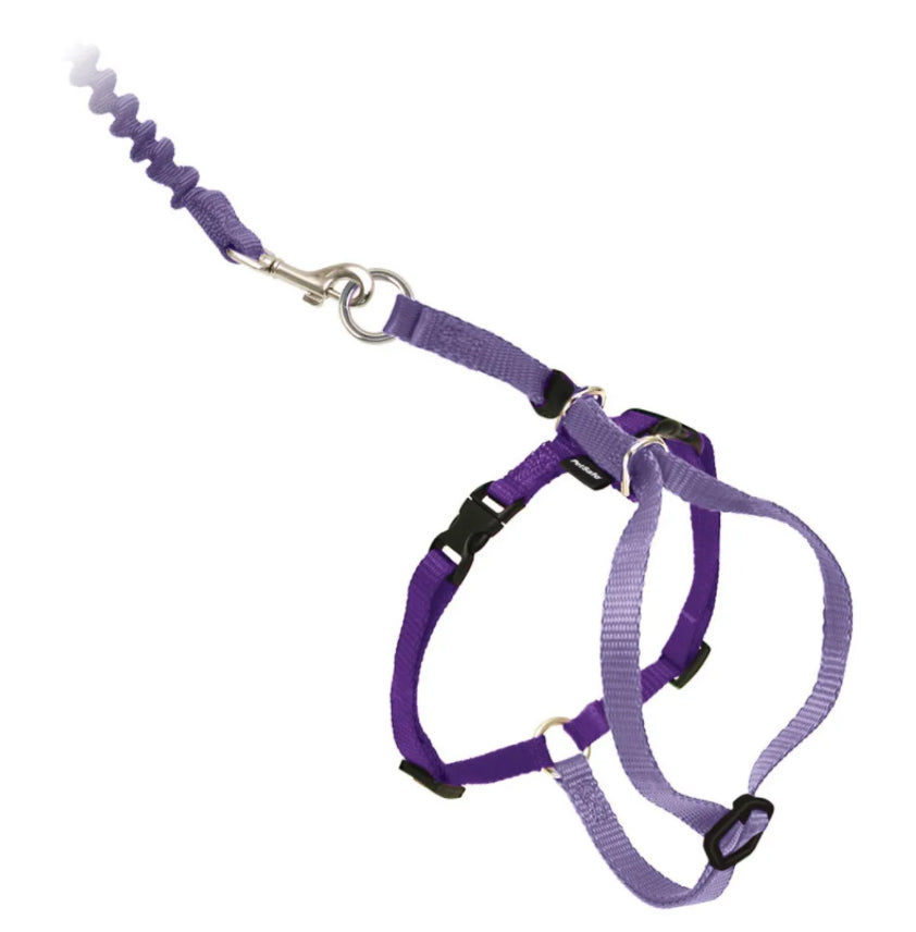 Come With Me Kitty Cat Harness & Bungee Leash