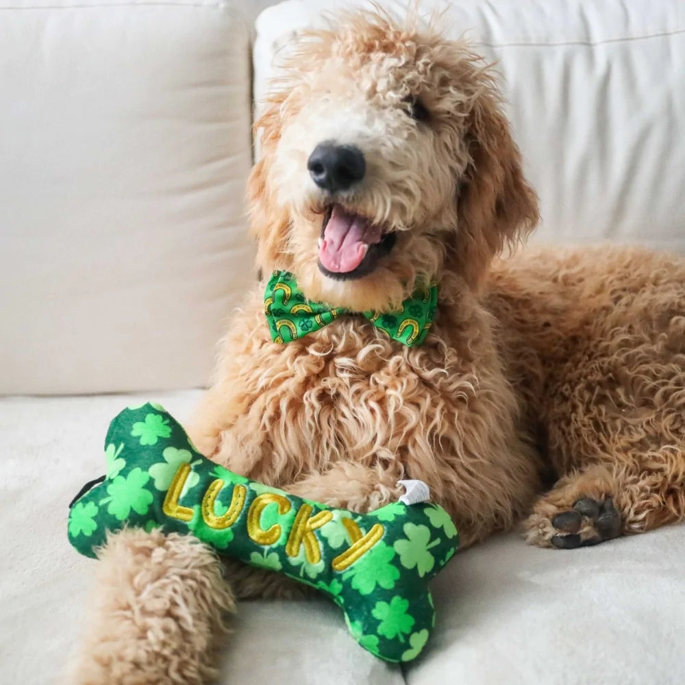 Lucky Charm Bone Dog Toy