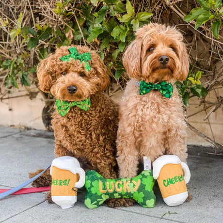 Lucky Charm Bone Dog Toy