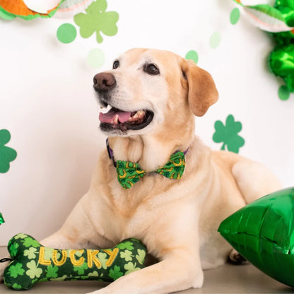 Lucky Charm Bone Dog Toy