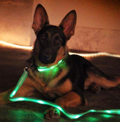 LED USB Rechargeable Dog Leash