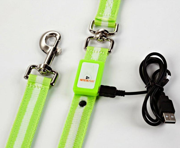 LED USB Rechargeable Dog Leash