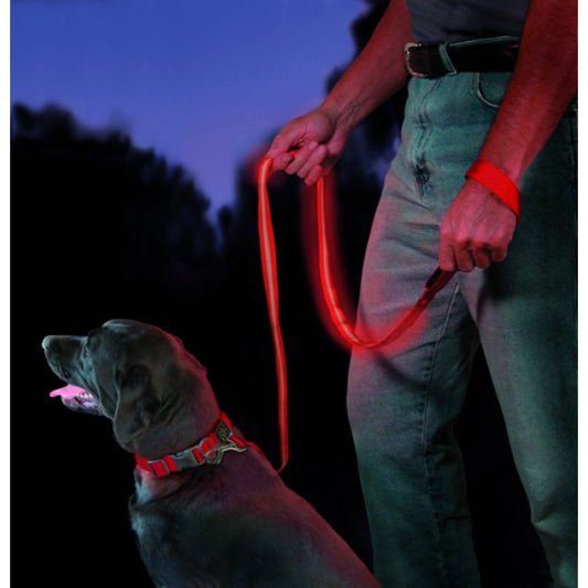 LED Light-Up Leash