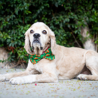 Nuts Bow Tie