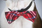 Red Plaid Bow Tie